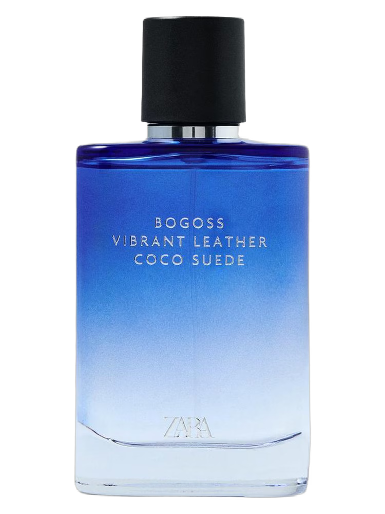 Vibrant Leather Bogoss Coco Suede Zara