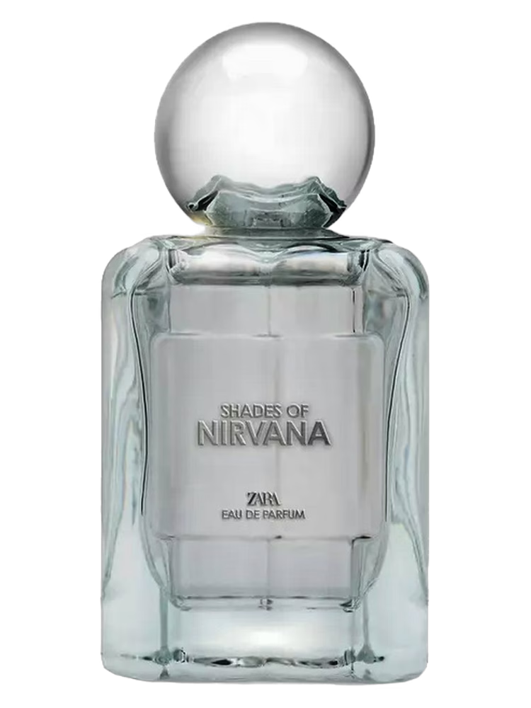 Shades Of Nirvana Zara